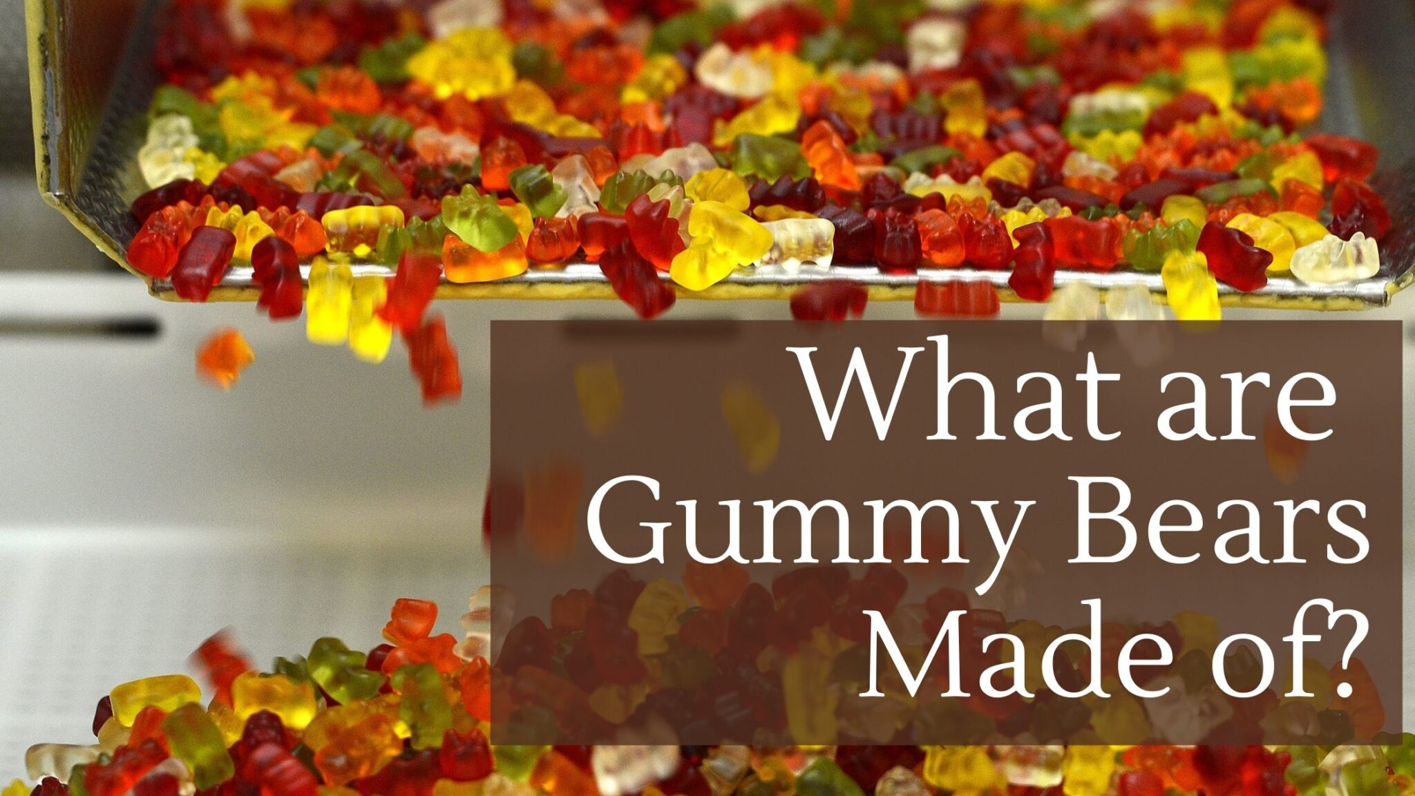 what-are-gummy-bears-made-of-find-out-here-realgoodgummies