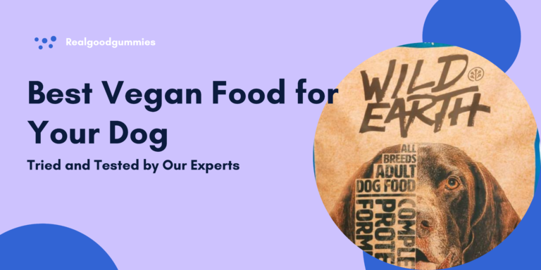 Best Vegan Food for Your Dog