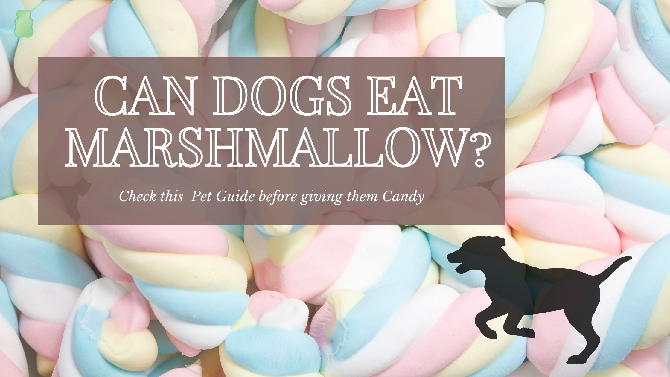 can dogs eat lucky charms marshmallows