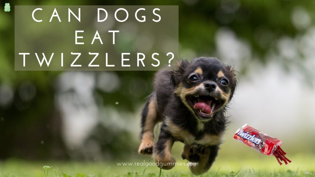 can dogs eat twizzlers or are they toxic?