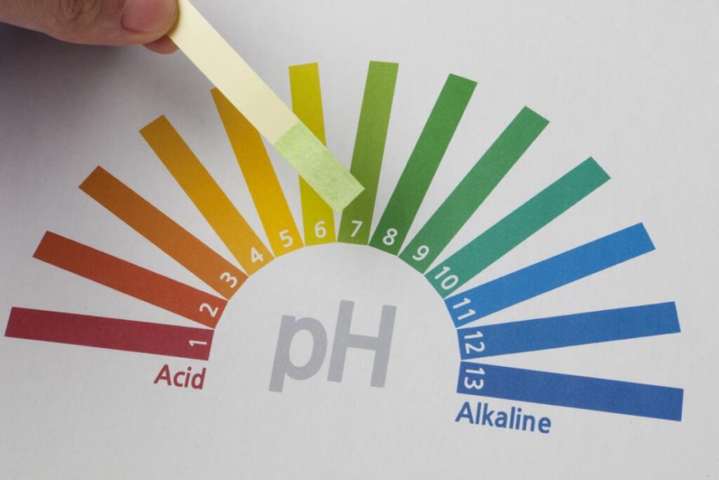Apple Cider Vinegar Vs. White Vinegar - Know the Difference 3 Ph of ACV and white vinegar