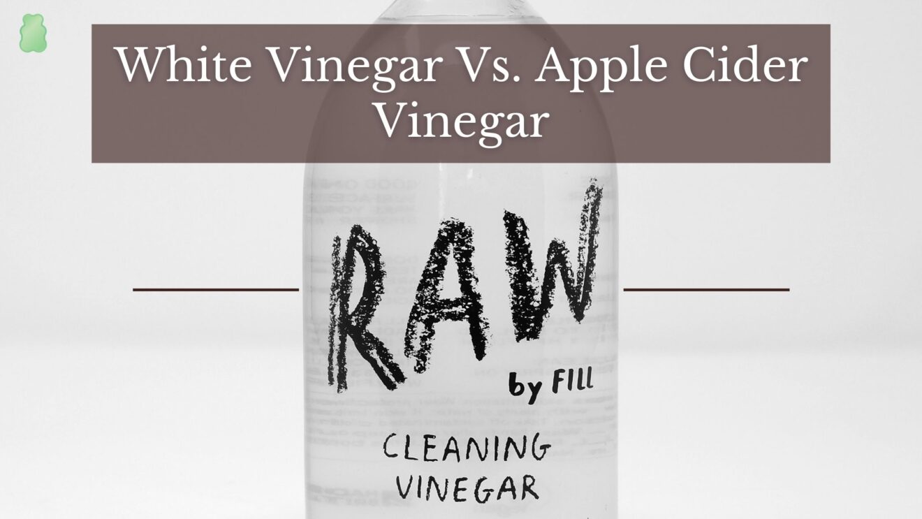 Apple Cider Vinegar Vs. White Vinegar Know The Difference