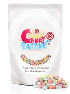 Sarah's Candy Factory Vanilla Mini Dehydrated Marshmallow Bits