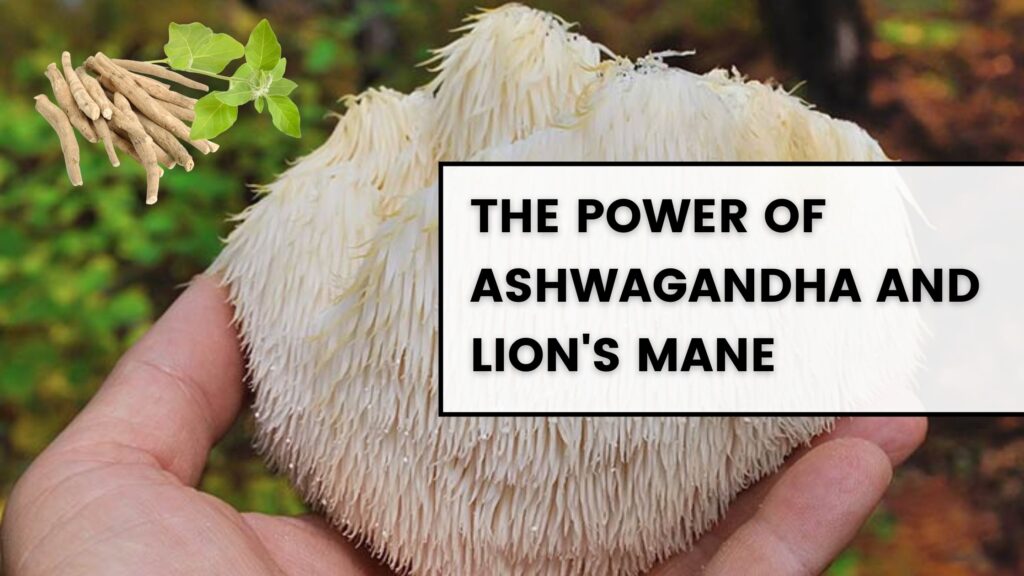ashwagandha and lions mane